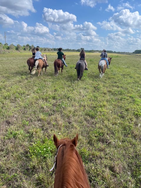 Miami: Horseback Riding - Important Information