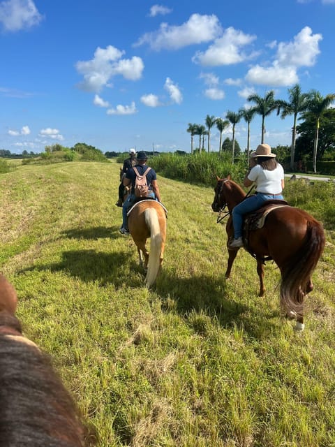 Miami: Horseback Riding - Planning Your Visit