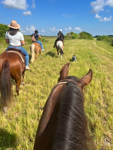 Miami: Horseback Riding - Safety Considerations