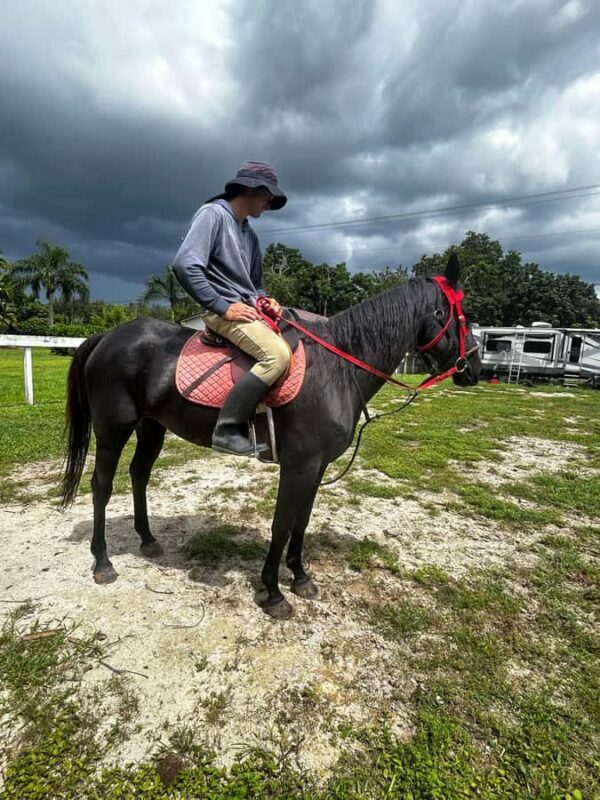 Miami: Horseback Riding Tour with Instructor - What This Tour Offers: An Authentic and Scenic Ride