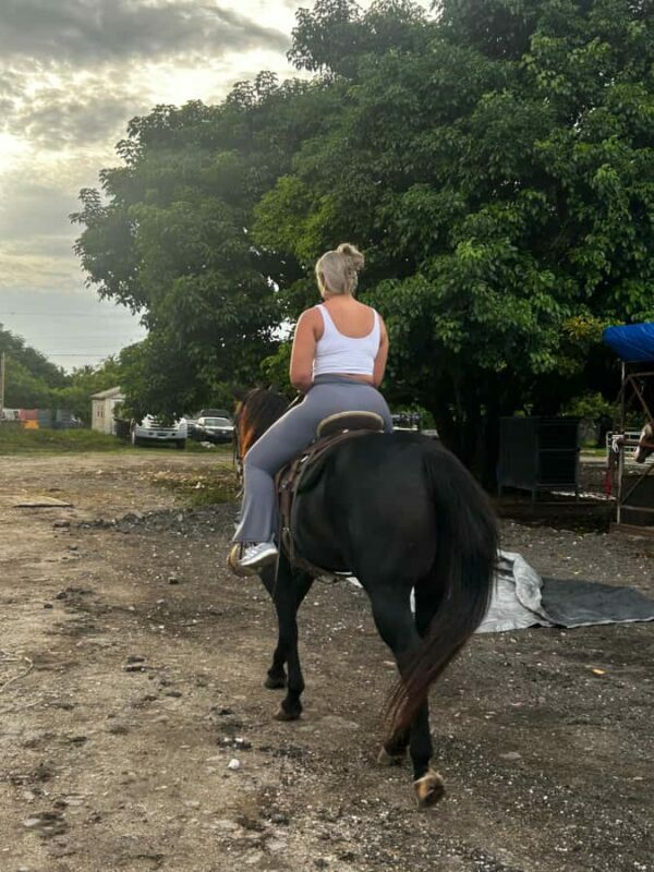 Miami: Horseback Riding Tour with Instructor - Challenges and Considerations