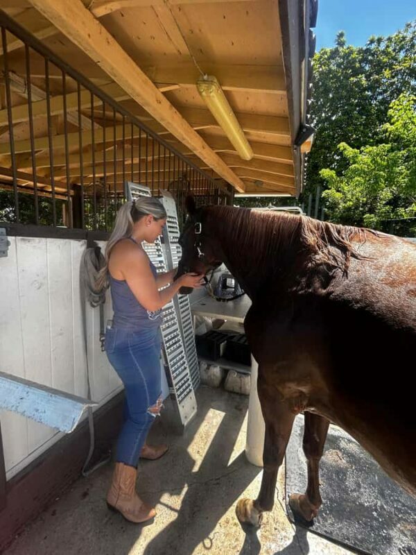 Miami: Horseback Riding Tour with Instructor - Final Thoughts: Who Will Love This Experience?
