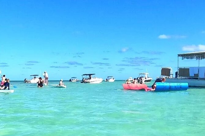 Miami: Island Snorkeling on Biscayne Bay on Deserted Island - Participant Feedback and Reviews