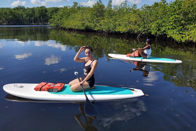 Miami Kayak and Paddleboard Rentals in Virginia Key - Rental Options and Pricing