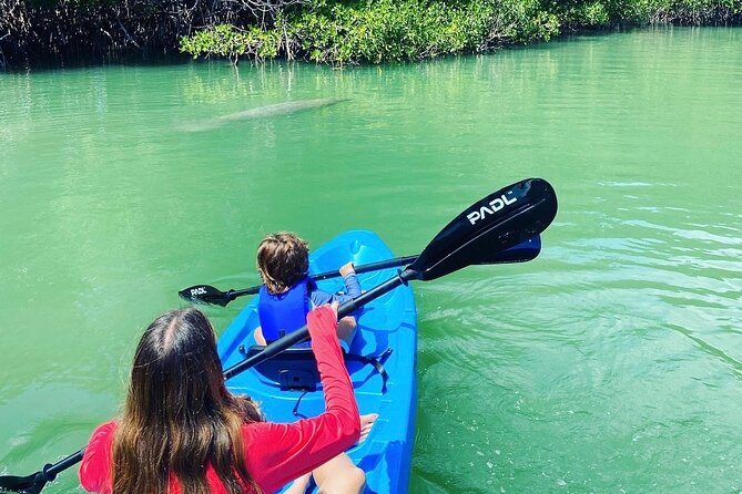 Miami Kayak and Paddleboard Rentals in Virginia Key - Health and Safety Guidelines