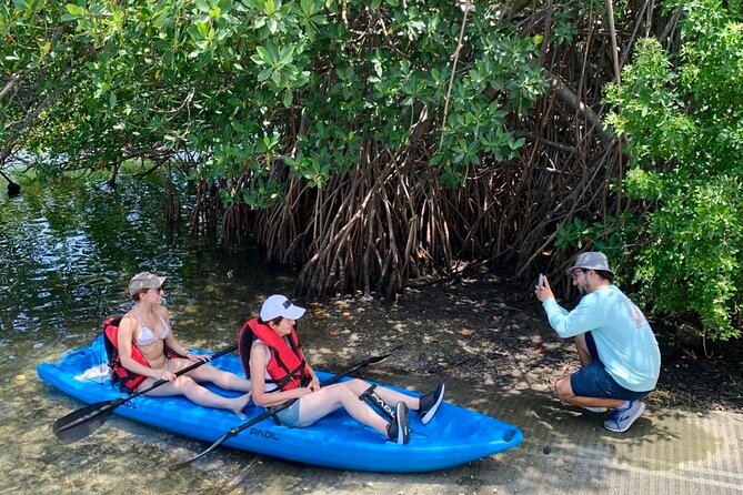 Miami Kayak and Paddleboard Rentals in Virginia Key - Traveler Reviews and Ratings