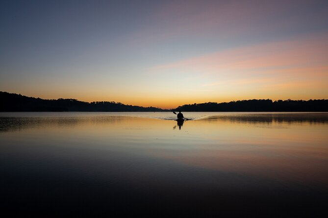Miami Kayak Sunset Biscayne Bay Tour - Key Points