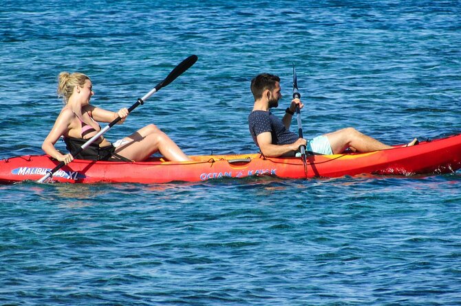 Miami Kayak Sunset Biscayne Bay Tour - Wildlife Sightings