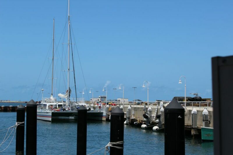 Miami: Key West Boat Tour w/ Optional Snorkeling & Open Bar - Who Will Love This Tour?