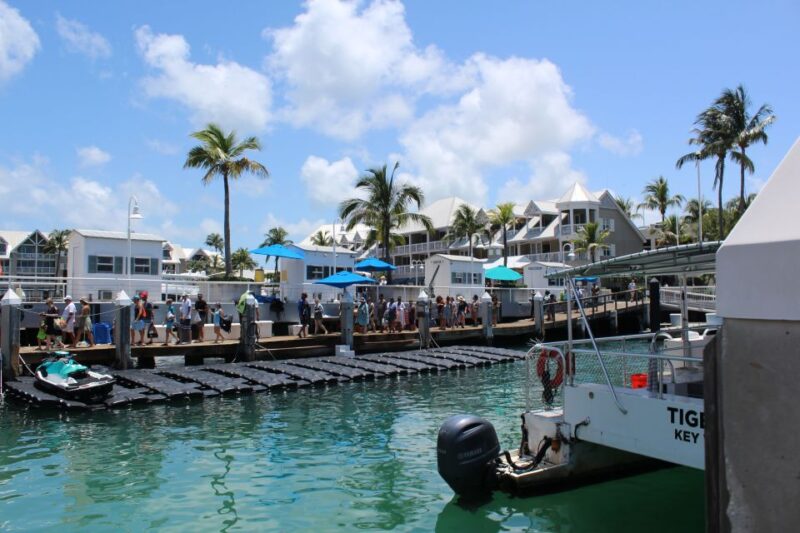 Miami: Key West Boat Tour W/ Optional Snorkeling & Open Bar - Pricing and Reservation