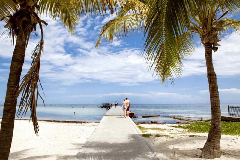 Miami: Key West Day Tour by Bus with Optional Activities - Key Points