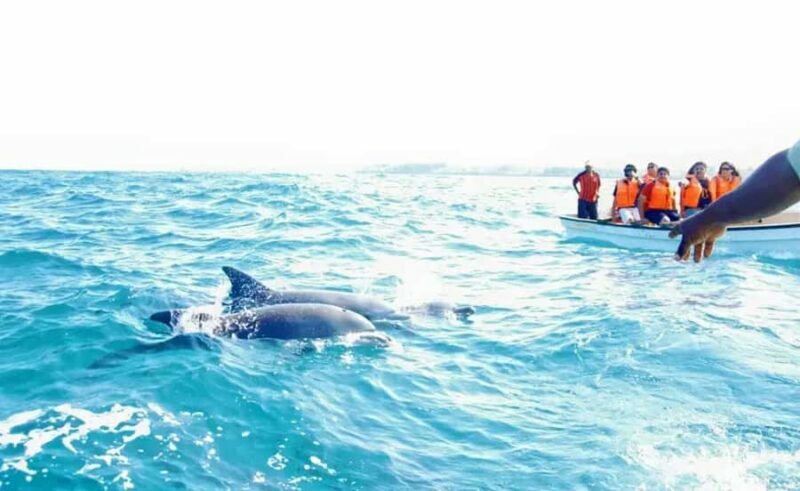 Miami: Key West Day Trip with Dolphin Spotting or Snorkeling - Final Thoughts