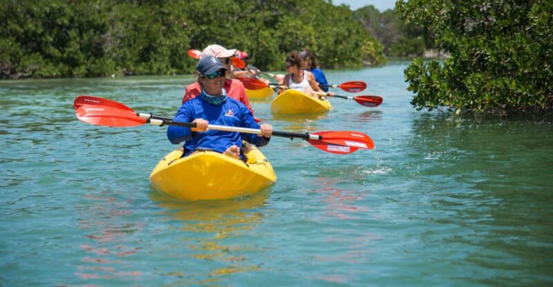 Miami: Key West Tour With Snorkeling & Kayaking - Key Points