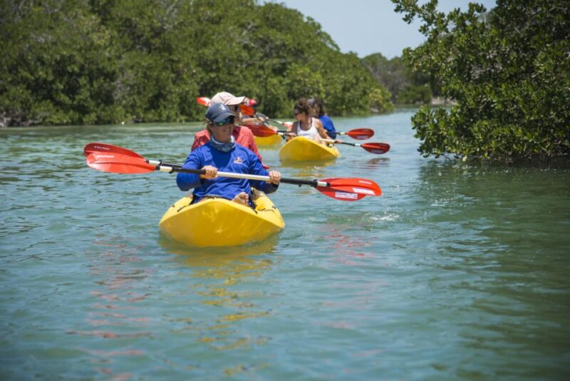 Miami: Key West Tour With Snorkeling & Kayaking - Activities and Experiences