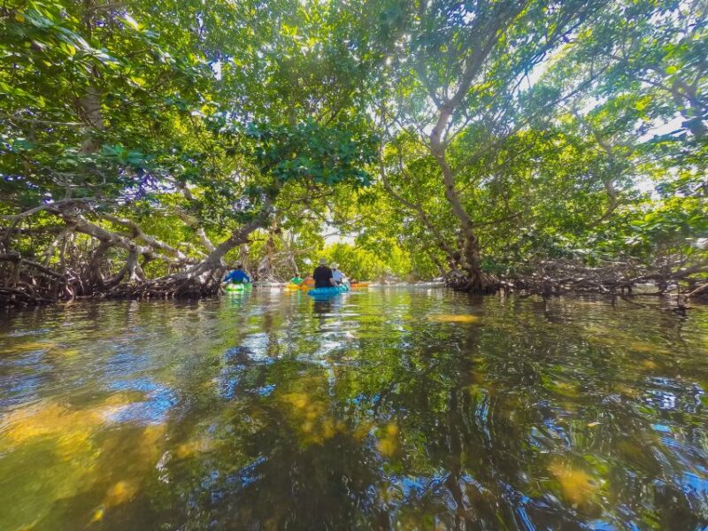 Miami: Key West Tour With Snorkeling & Kayaking - Snorkeling at Florida Keys Reef