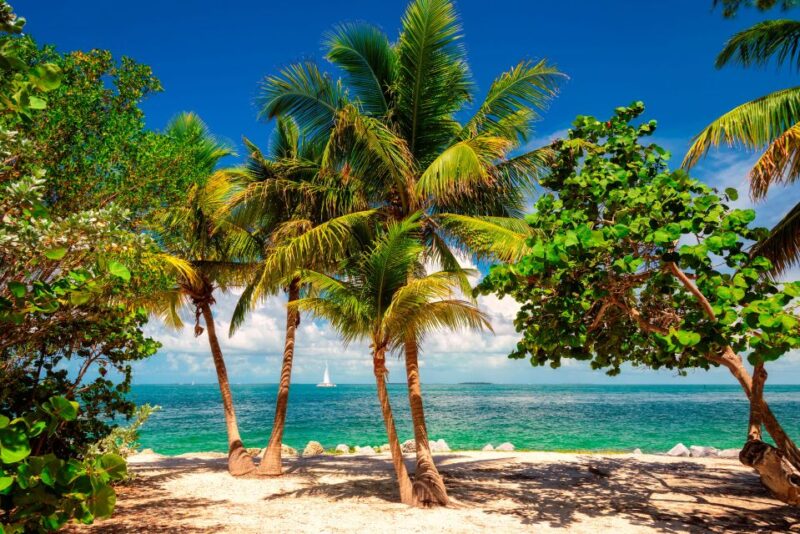 Miami: Key West Tour With Snorkeling & Kayaking - Overnight Stay in Key West