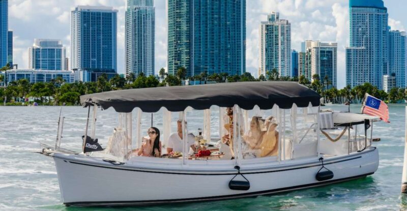 Miami: Luxury E-Boat Cruise With Wine and Charcuterie Board - Included Amenities