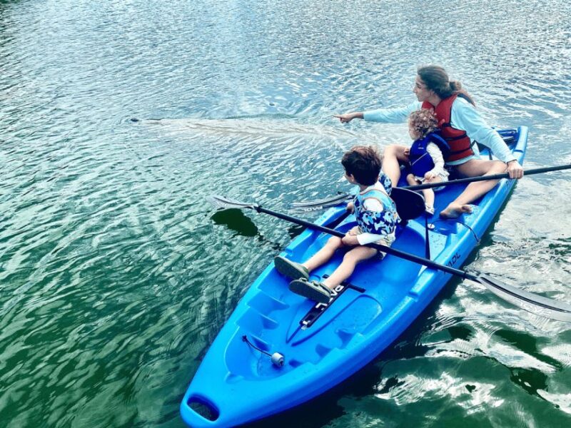 Miami: Manatee Season Paddleboard or Kayak Tour - Key Points