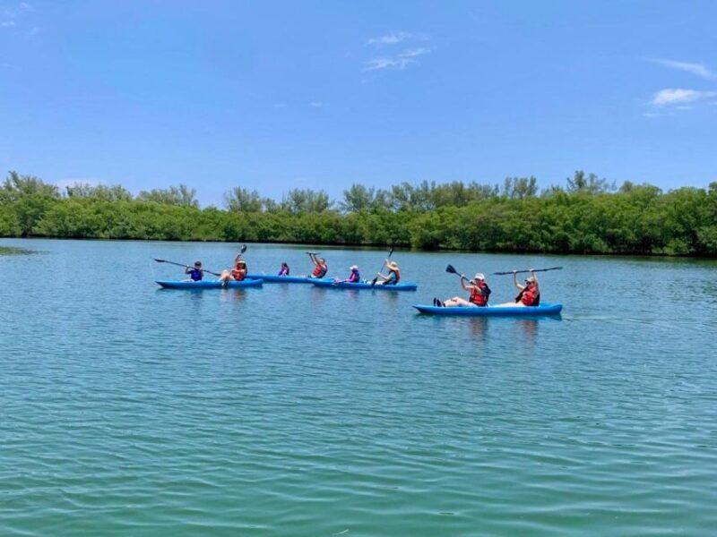 Miami: Manatee Season Paddleboard or Kayak Tour - Wildlife Sightings