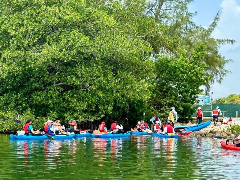 Miami: Manatee Season Paddleboard or Kayak Tour - Tour Itinerary