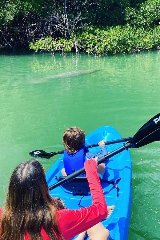 Miami: Manatee Season Paddleboard or Kayak Tour - Tour Inclusions