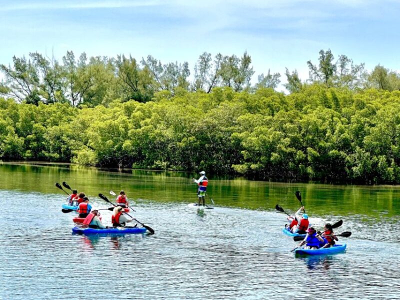 Miami: Manatee Season Paddleboard or Kayak Tour - Customer Feedback