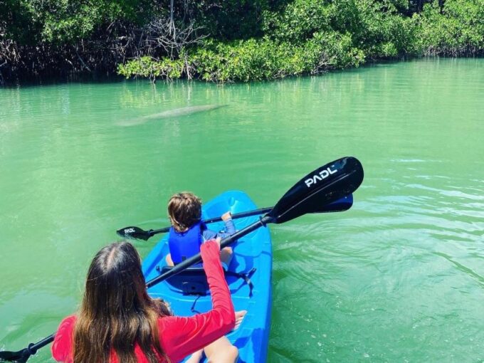 Miami: Manatee Season Paddleboard or Kayak Tour - Frequently Asked Questions