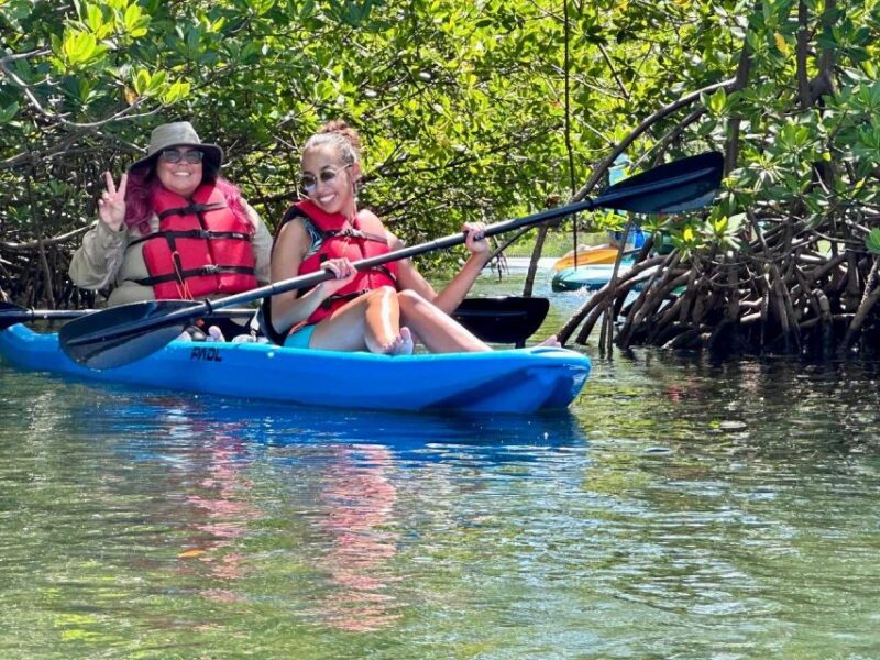 Miami: Paddle Board or Kayak Rental in Virginia Key - Wildlife and Scenery
