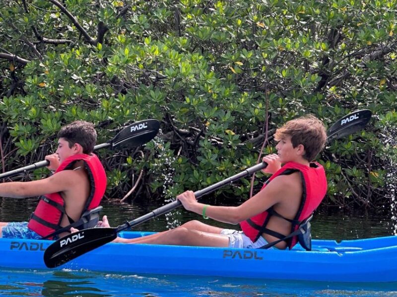 Miami: Paddle Board or Kayak Rental in Virginia Key - Meeting Point and Accessibility