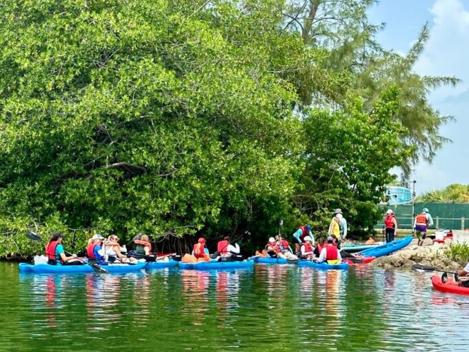 Miami: Paddle Board or Kayak Rental in Virginia Key - Sightseeing Opportunities
