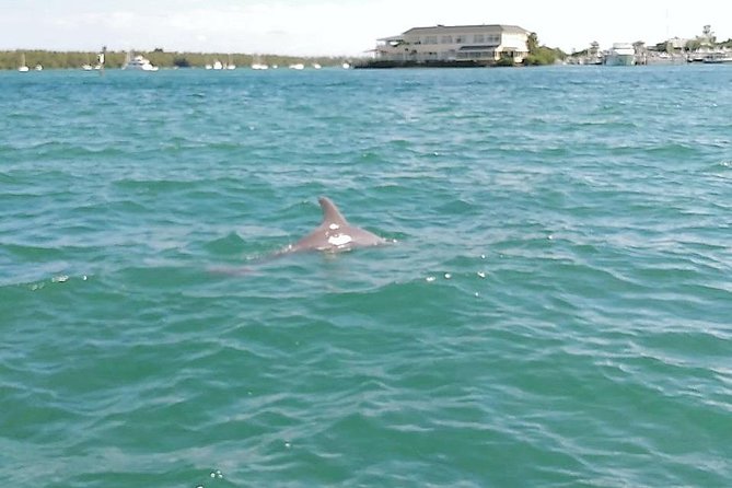 Miami Private Boat Rental for 11 Ppl, 2 & 4 Hrs Free Champagne - Boat Rental Experience