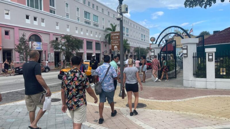 Miami: Sightseeing, Exploring City & Cruise Tour - Wynwood Arts District