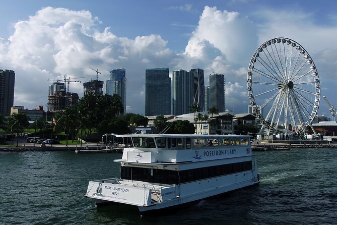 Miami Skyline Cruise - Additional Recommendations and Considerations