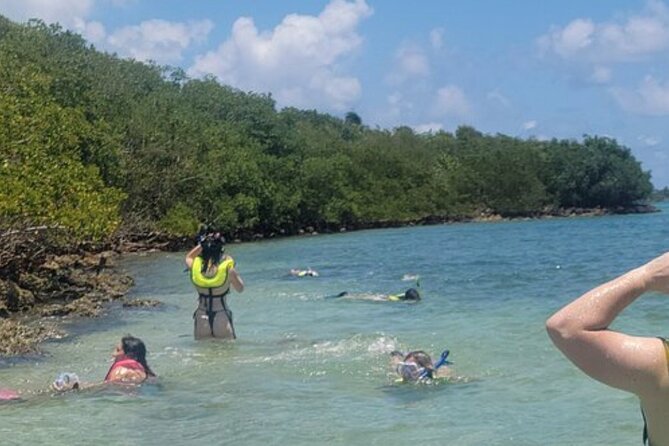 Miami: Snorkeling Adventure in Miami for Beginners - Snorkeling Equipment Provided