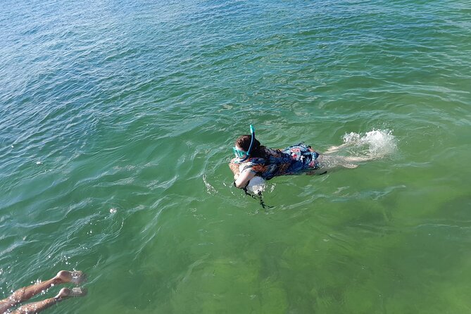 Miami: Snorkeling for Beginners Private Tour - Accessibility and Participation