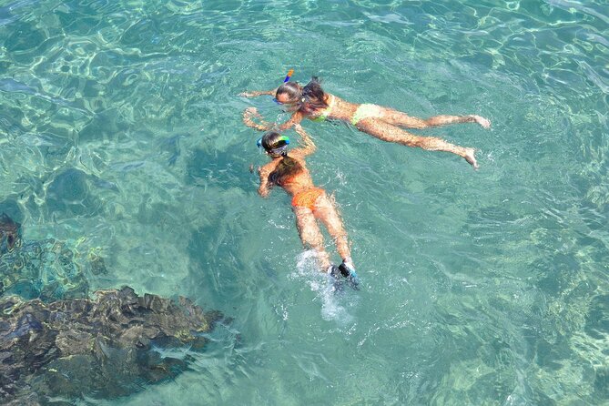 Miami South Beach: Snorkeling Beginners From Miami Beach Marina - Engaging Guides and Educational Experiences