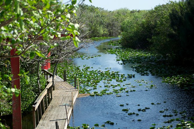 Miami Super Saver: Everglades Airboat Adventure and Miami City Tour - Explore the Everglades Ecosystem