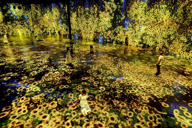 Miami: Superblue Miami Immersive Art Experience Ticket - Ticket Booking Information