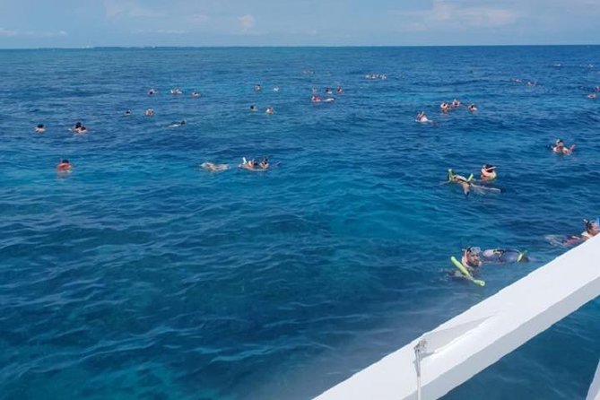 Miami to Key West Day Trip Transportation - Included and Excluded