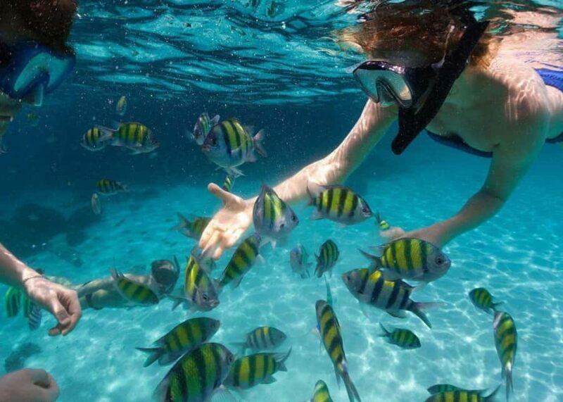 Miami to Key West Day Trip with Optional Activities - Authentic Experiences and Traveler Feedback