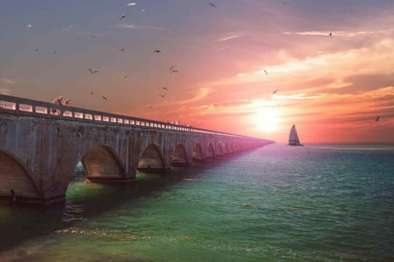 Miami to Key West Day Trip with Optional Activities - The Sum Up