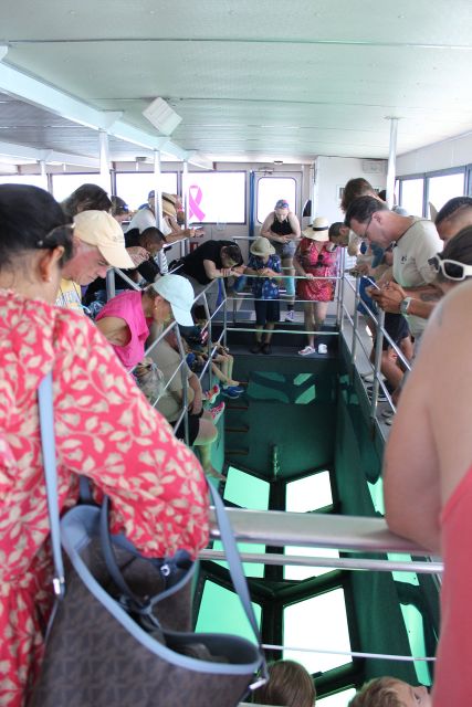Miami to Key West Shuttle: Dolphin, Snorkeling & More - Important Information