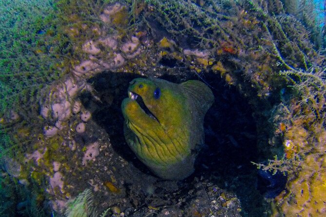Miami Two Tank Dive Trip - Additional Information