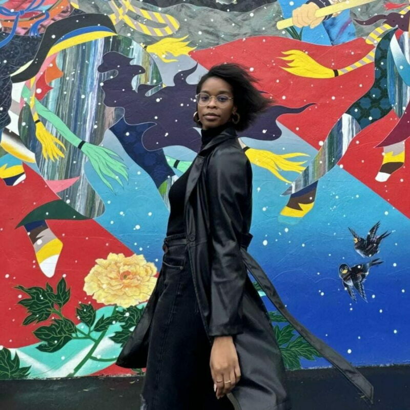 Miami: Wynwood Walls, Galleries, and Murals Guided Tour - The Experience of a Guided Tour
