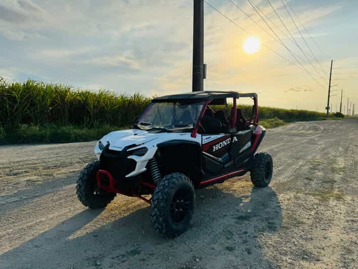 Miami's Ultimate Buggy Adventure on a Honda Talon UTV - The Practical Details and Value