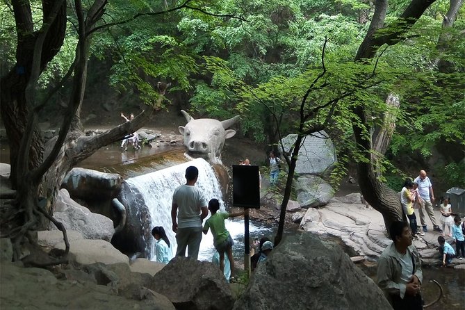 Mian Mountain Private Day Tour From Pingyao - Dining