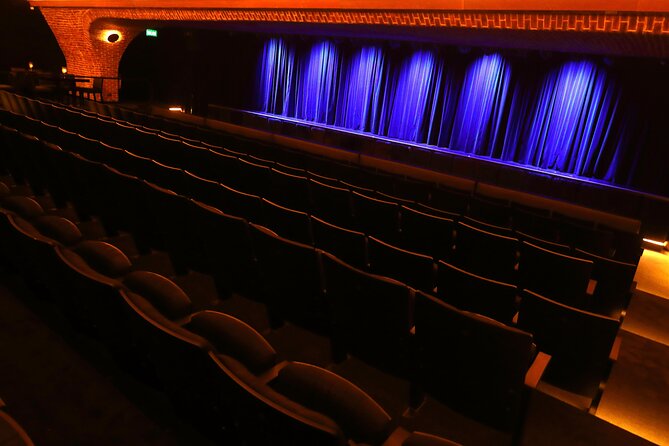 Michelangelo Legend Show With Optional Dinner - Accessibility and Traveler Information