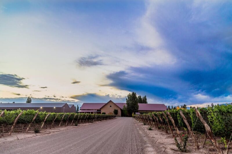 Michelin Experience + Wine Tastings ( Transfer Included ) - Lunch at Quimera Bistro