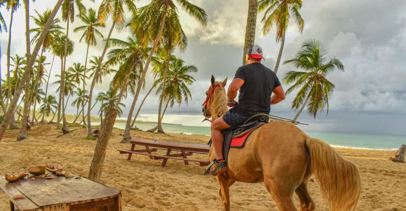 Miches: Full Day Tour Wild District Experience. - Itinerary