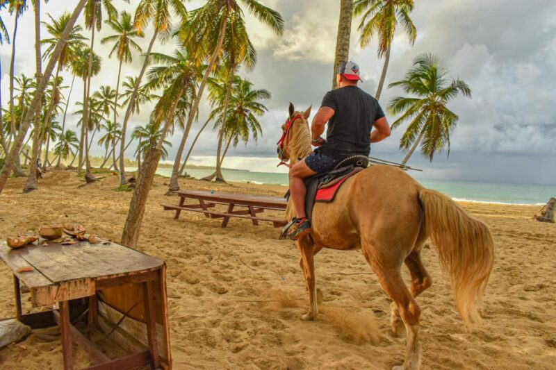 Miches: Full Day Tour Wild District Experience. - Activities and Highlights